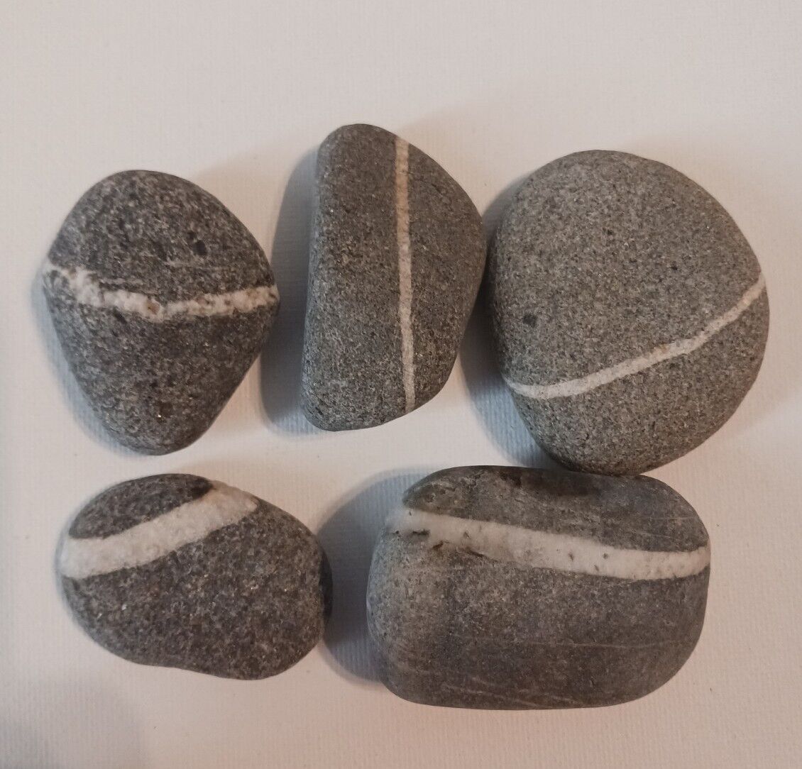 5 Medium Wishing Stones Banded Beach Rocks White Stripe From WA Coast  