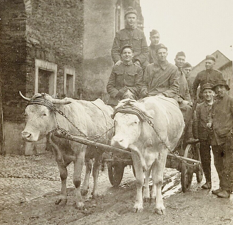 Antique RPPC Postcard Oxen Wagon Ride Leiser Germany Military Uniform WWI