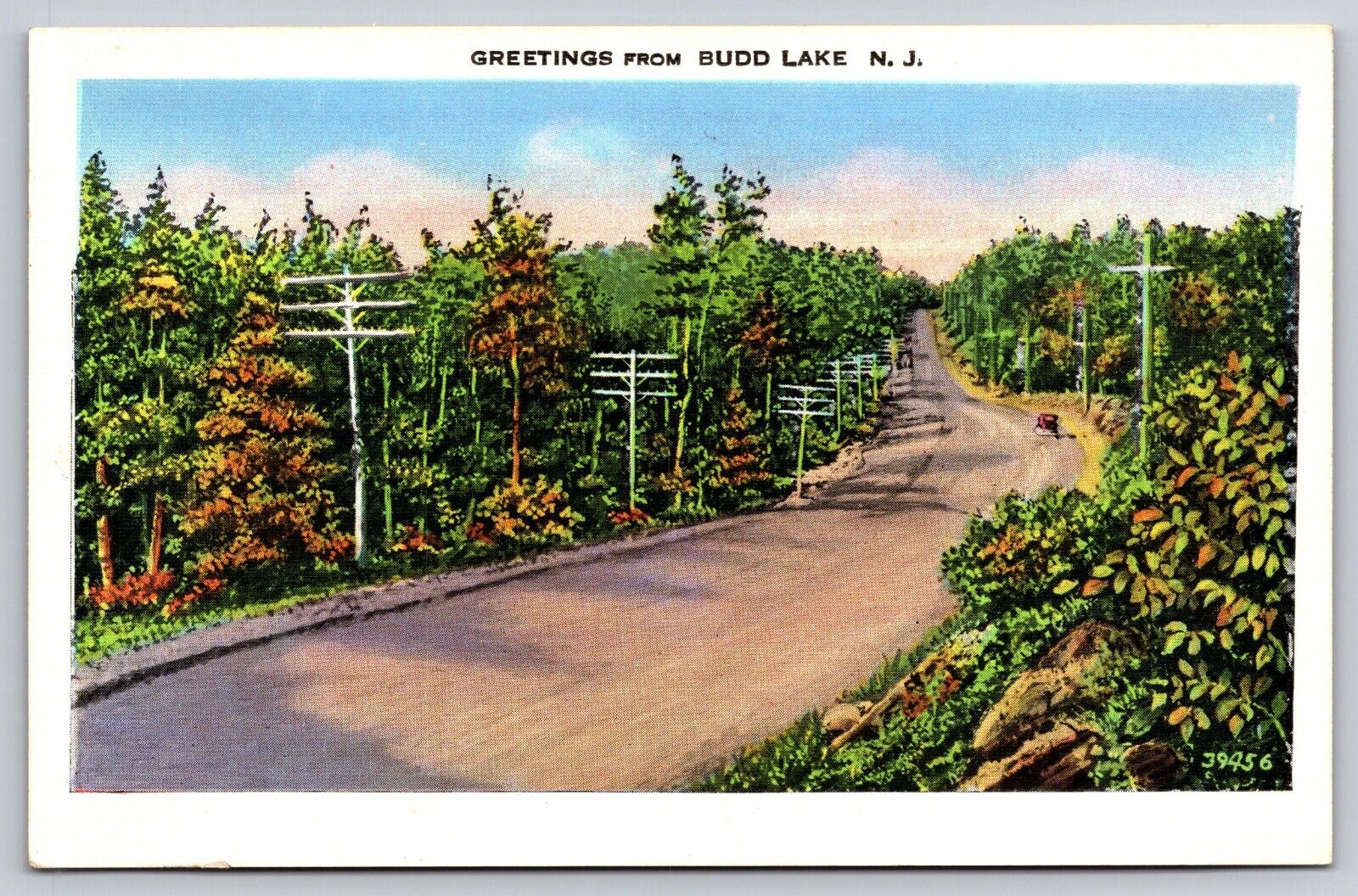 Postcard Greetings form Budd Lake New Jersey