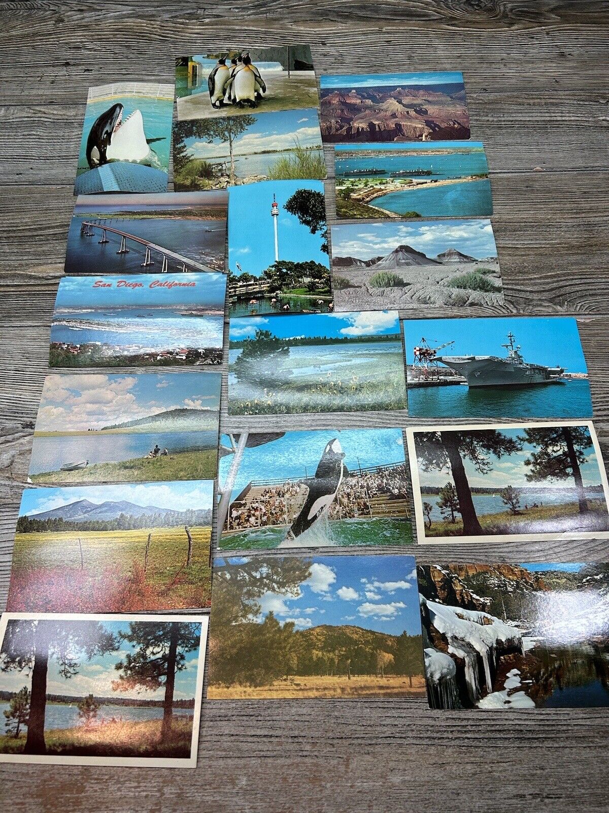 Vintage Postcard Mixed Lot of 20 California San Diego And Arizona