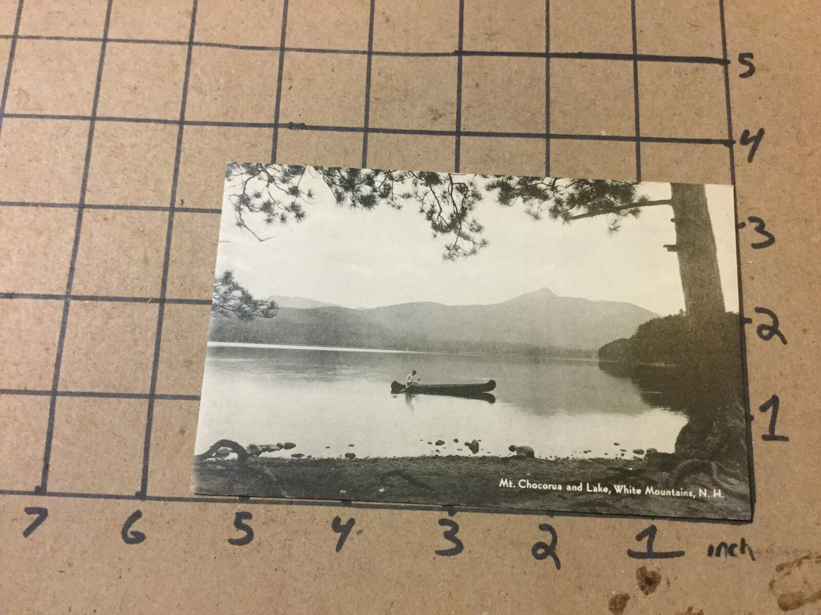 Vintage UNUSED Postcard -- MT. Chocorua & Lake - white mountain NH w caneo