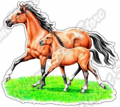 Free Spirit Horses Horse Field Animal Car Bumper Window Vinyl Sticker Decal 4.6\
