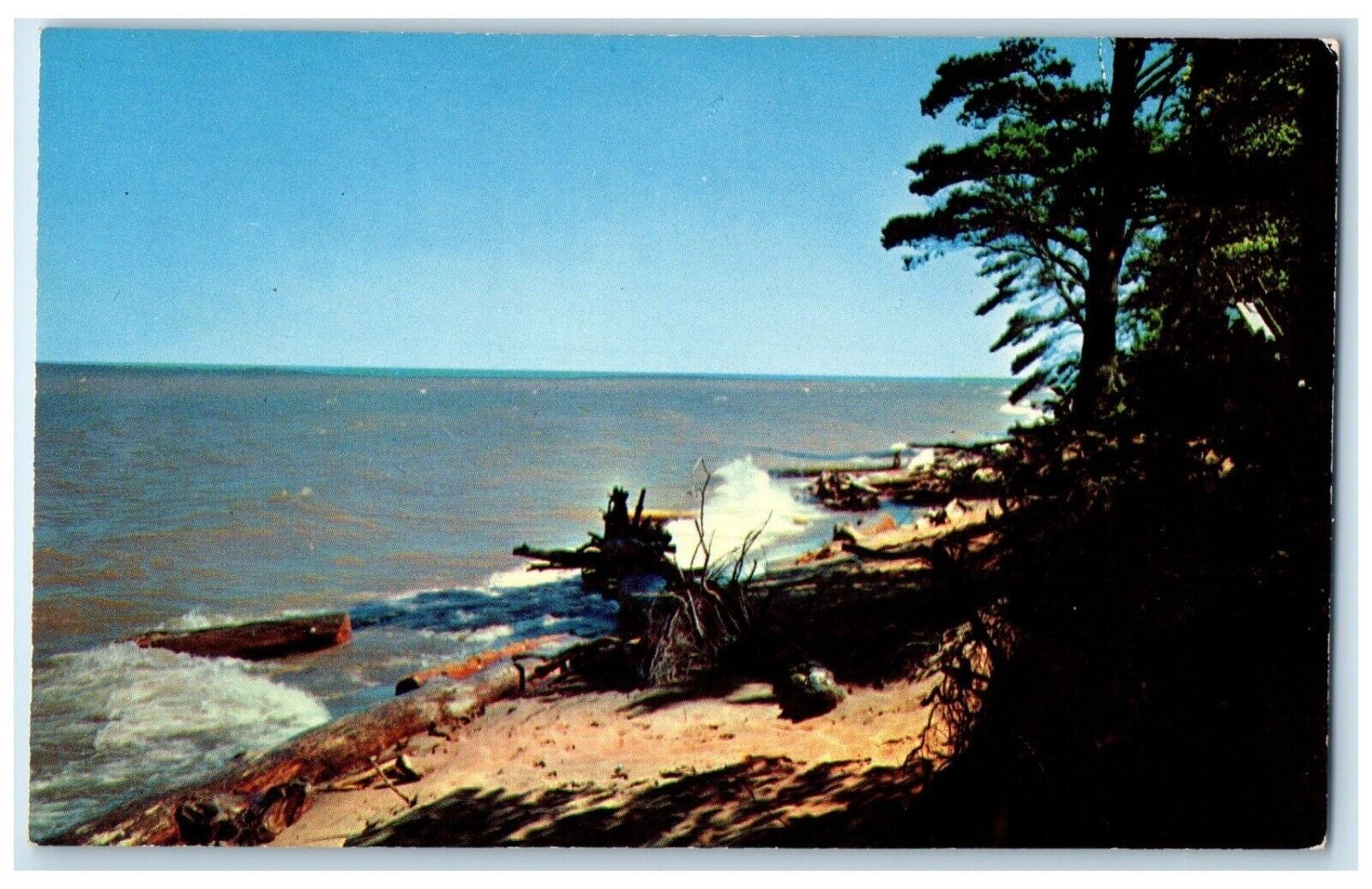 c1960 Greetings Coast Beach Trees Sea Waves Pound Wisconsin WI Vintage Postcard