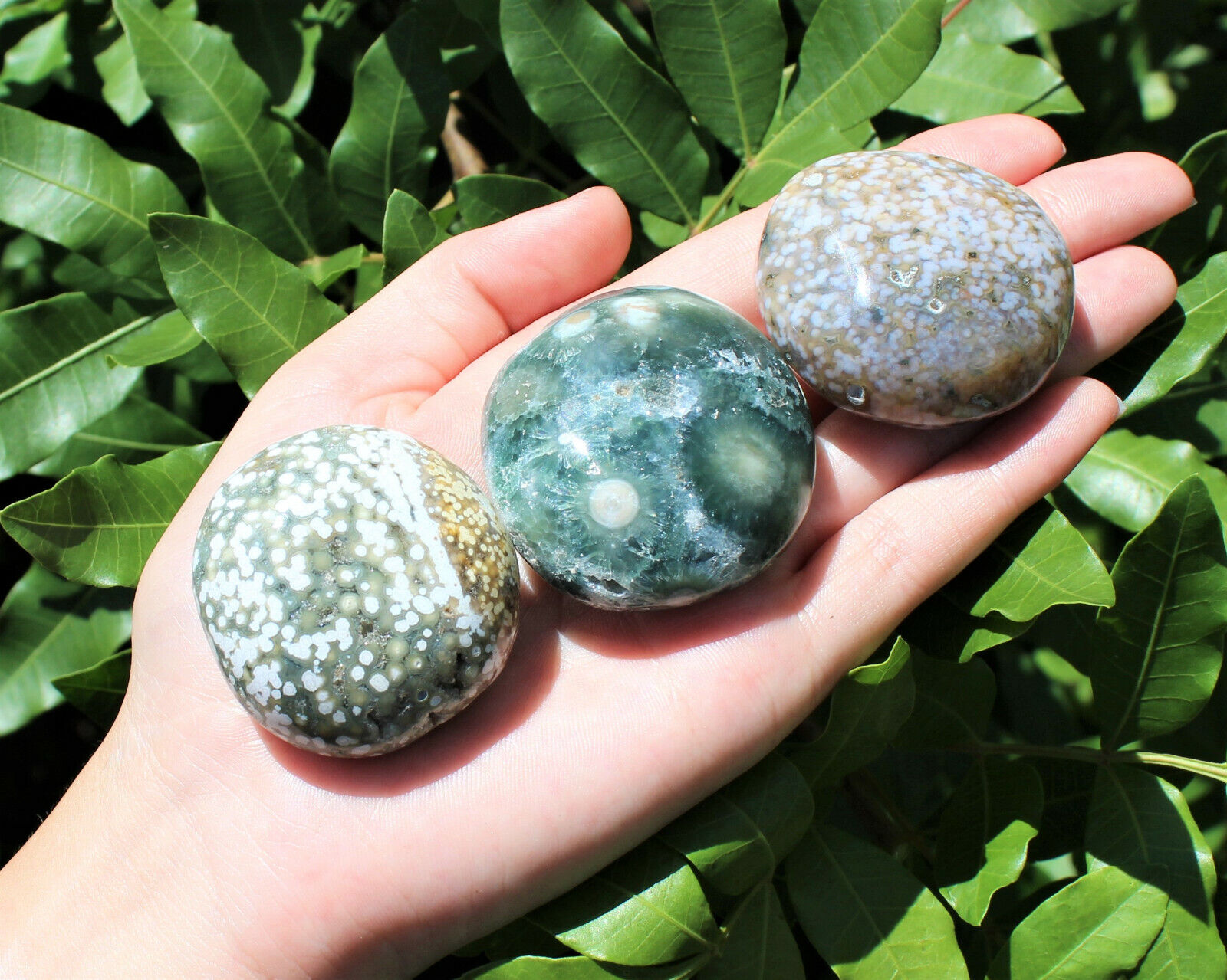 Ocean Jasper Hand Polished Stones: Sea Jasper Pebbles, Palm Stone, Crystal