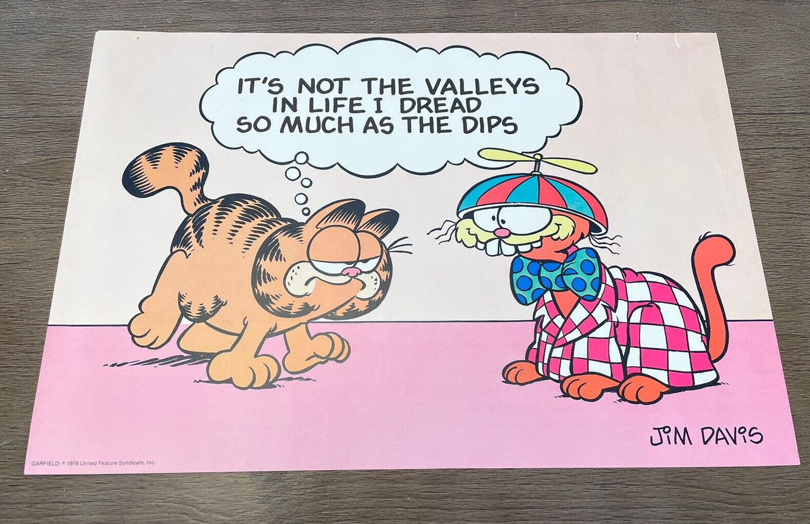 Vintage Jim Davis 1978 Garfield Poster Valleys and Dips 14×21 ARGUS