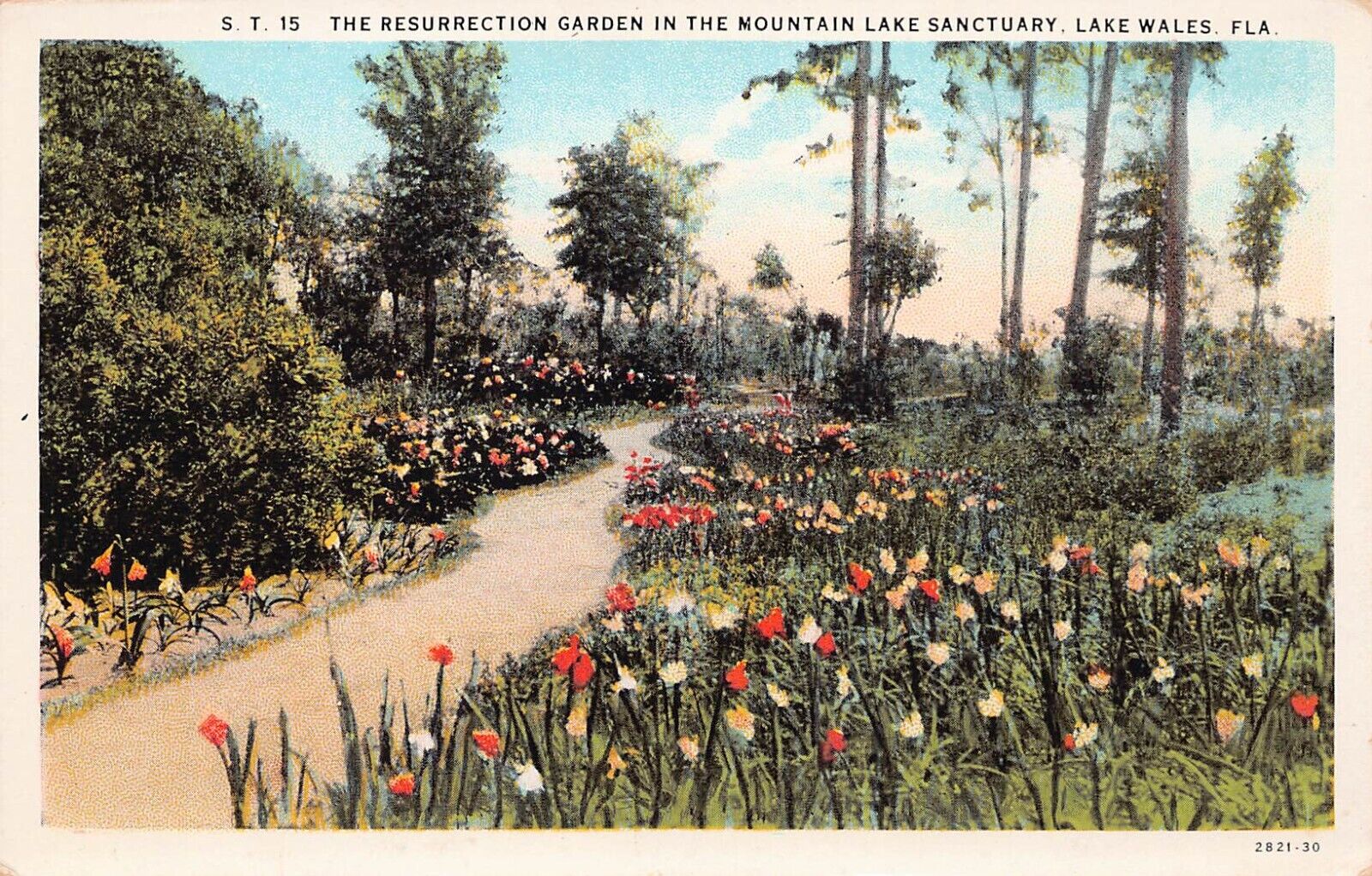 Lake Wales FL Mountain Lake Golf Colony Botanical Garden Course Vtg Postcard C23