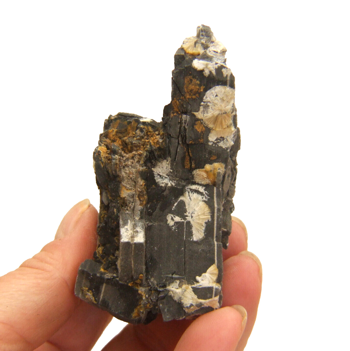 Wavellite High Down Quarry Devon UK Mineral Display Specimen Type Locality 8cm