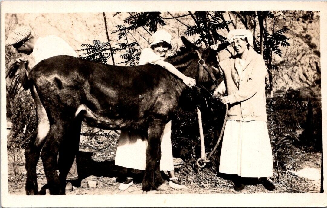 RPPC Woman Hugging Donkey Mule Man Holding Tail Up c1910s photo postcard FP6