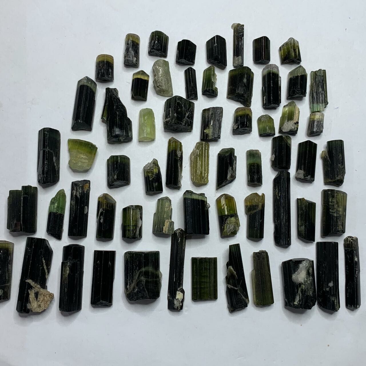 60 Pcs Natural Green Cap Tourmaline Crystals Lot From Astak Nala Mine Pakistan 