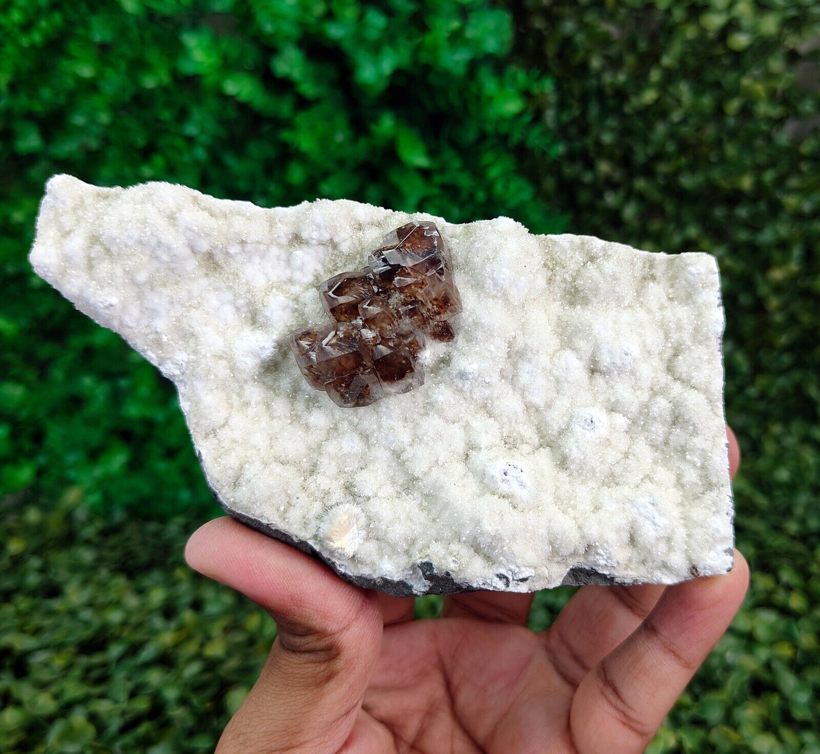 Natural Rare Dark Brown Calcite on Base Mineral Specimen #E33