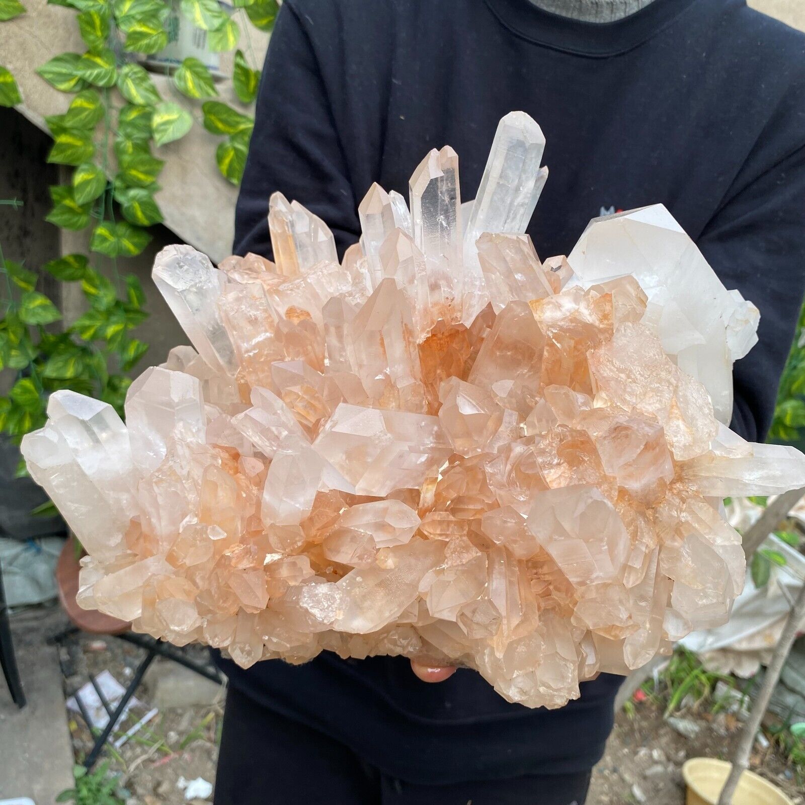 20lb A+++Large Natural clear white Crystal Himalayan quartz cluster /mineralsls