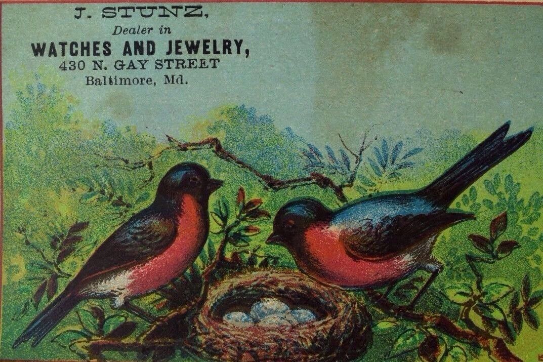 1870's-80's J. Stunz Watches & Jewelry Colorful Wild-Birds Nest & Eggs #2 F95