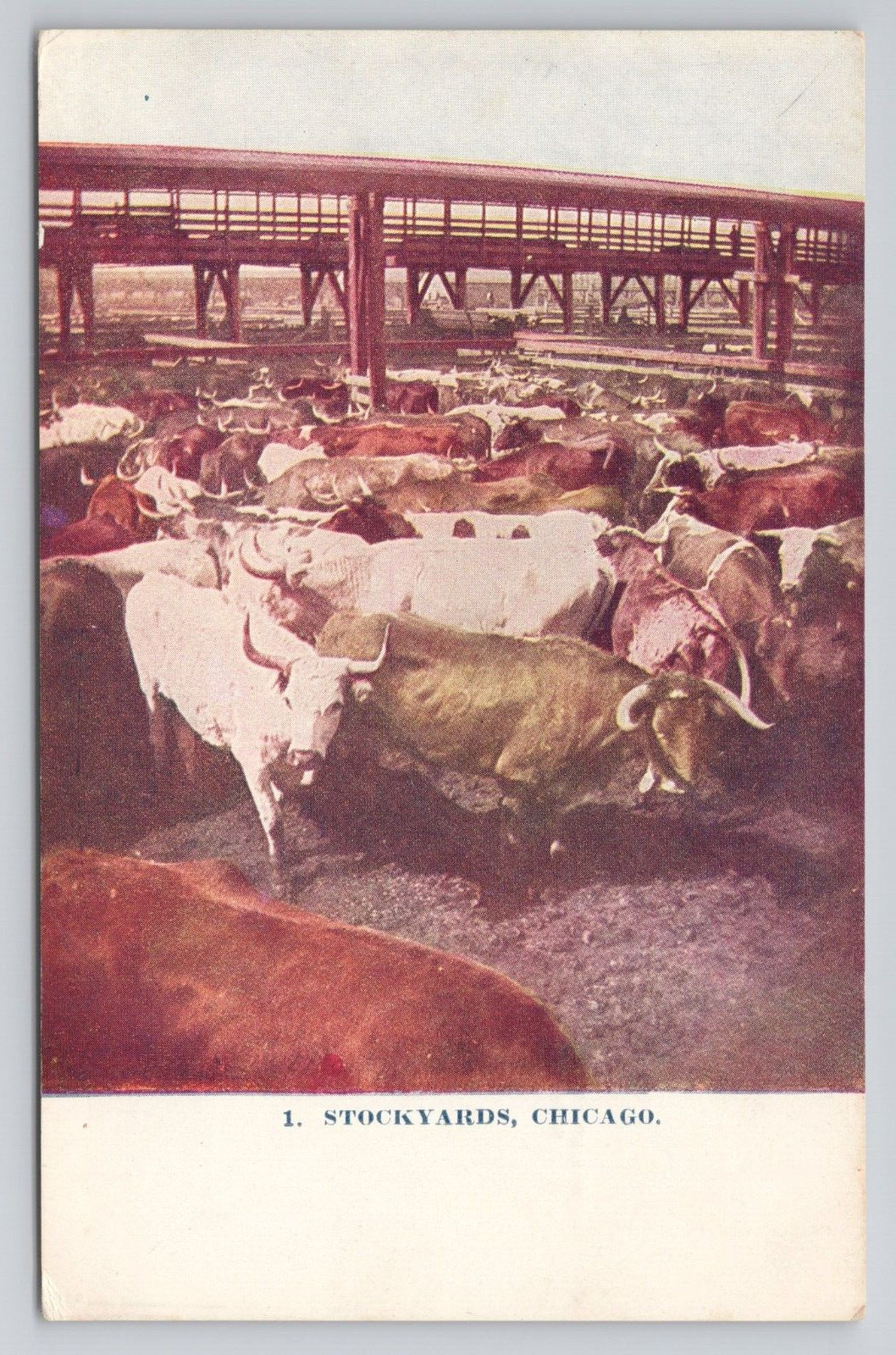 Stockyards Chicago Illinois c1910 Antique Postcard