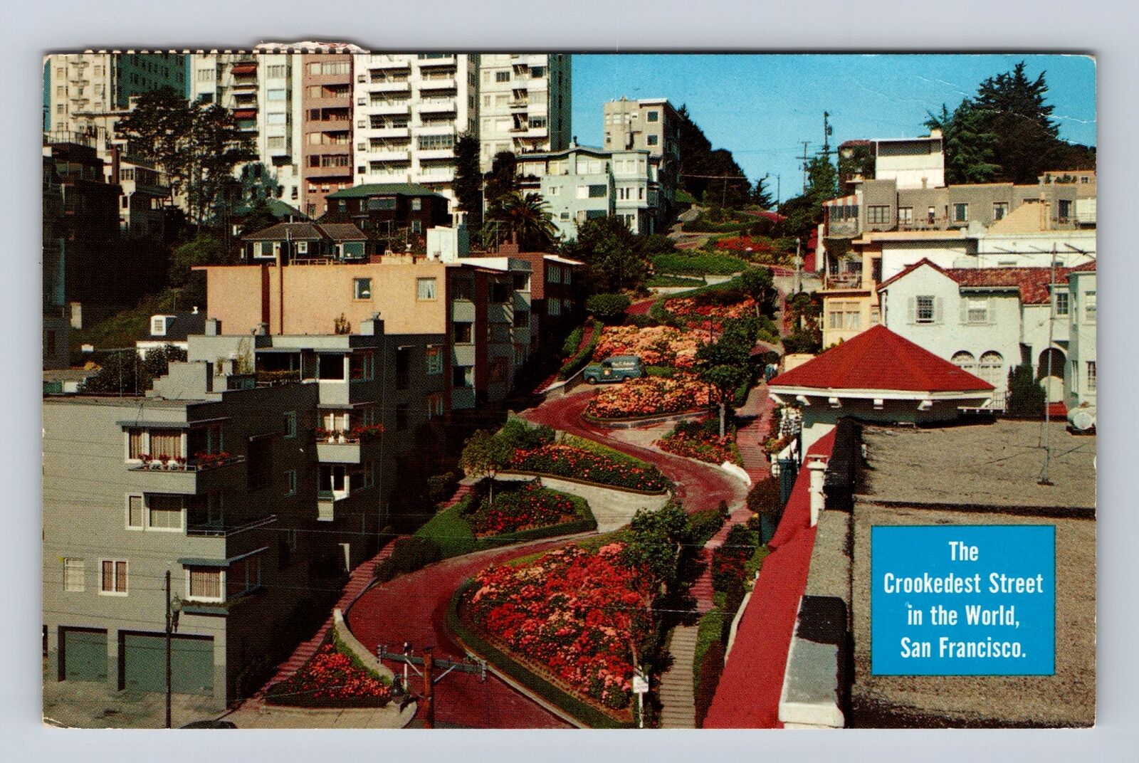 San Francisco CA- California, Lomard Street, Advertisement, Vintage Postcard