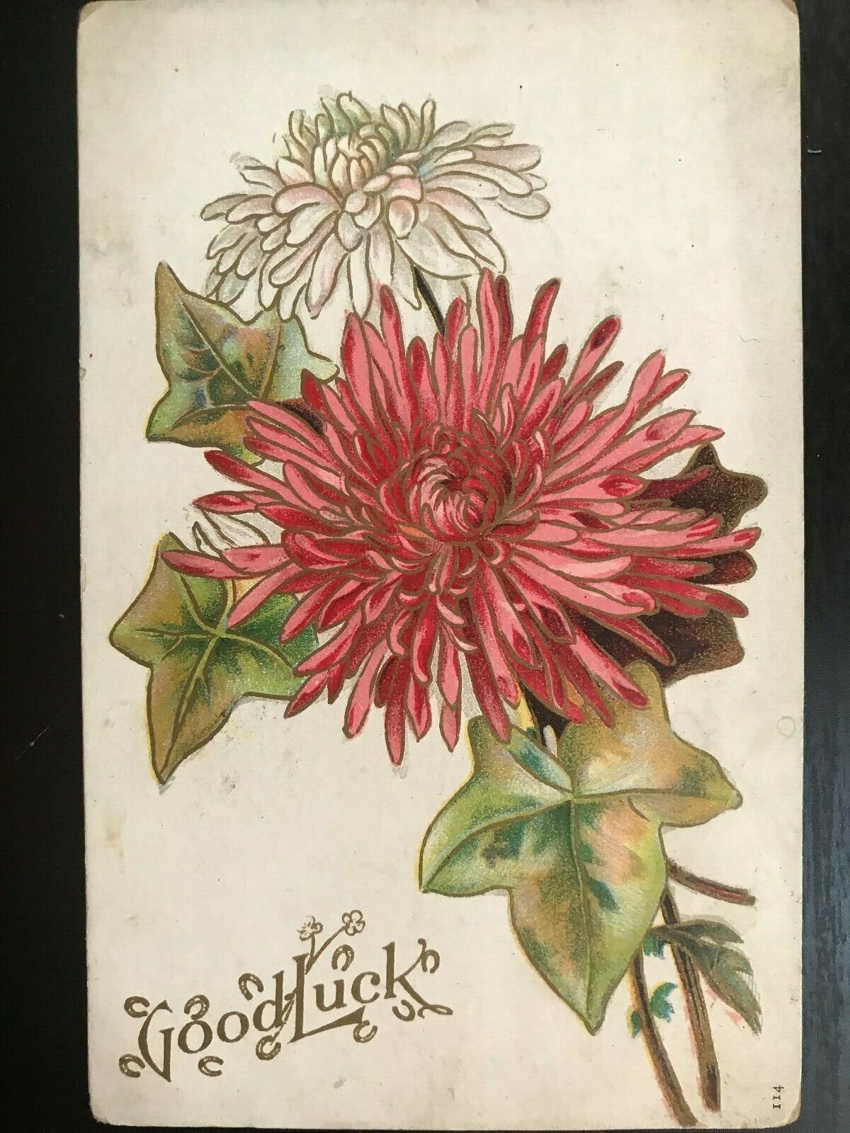 Vintage Postcard Early 1900's Good Luck