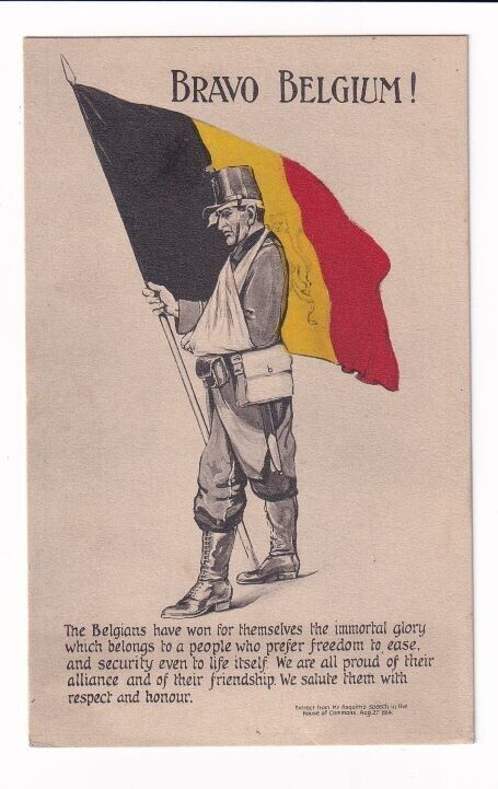 [81433] 1914 WW1 POSTCARD shows WOUNDED SOLDIER with FLAG \