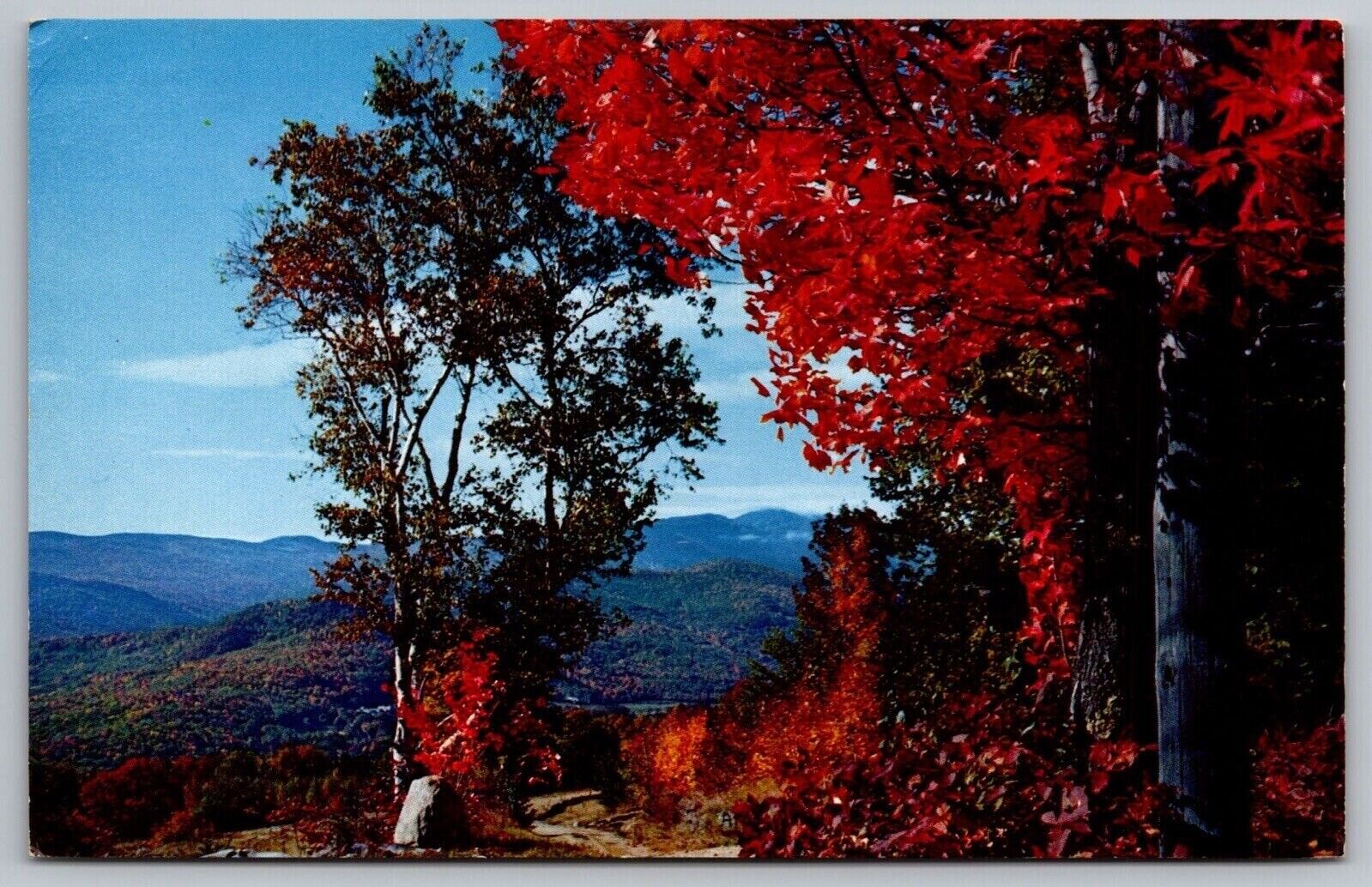 Typical Fall Rd White Mountains New Hampshire NH Postcard UNP VTG Mike Roberts