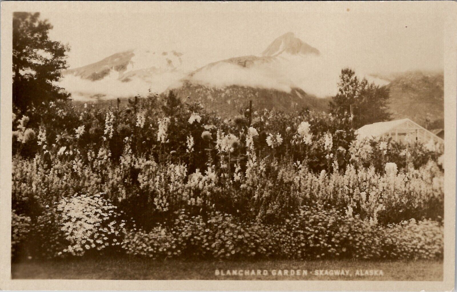 Skagway Alaska Blanchard Garden RPPC Postcard Z26