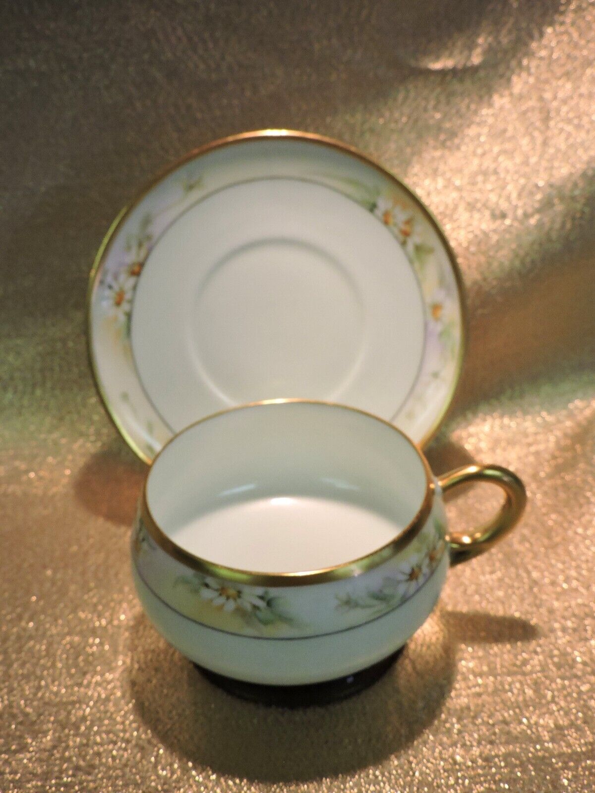 HC Royal Bavaria Teacup & Saucer - Pale Green / White Flowers / Gold Band Signed