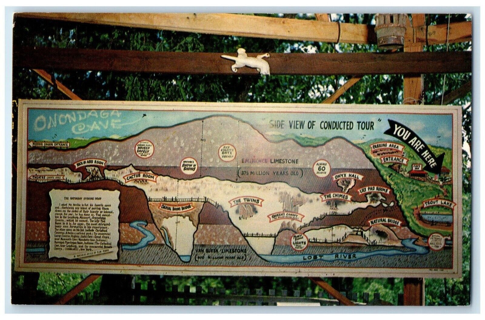 c1960 Tour Map Onondaga Cave Highway Leasburg Missouri Vintage Antique Postcard