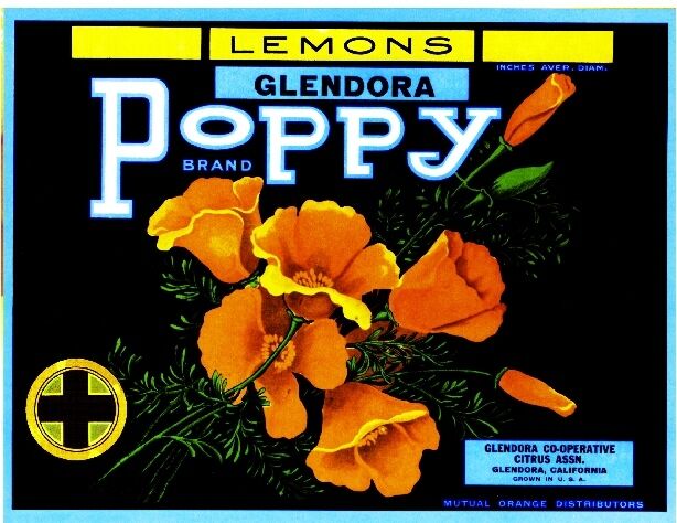 Glendora California Poppy Poppies Flowers Lemon Citrus Fruit Crate Label Print