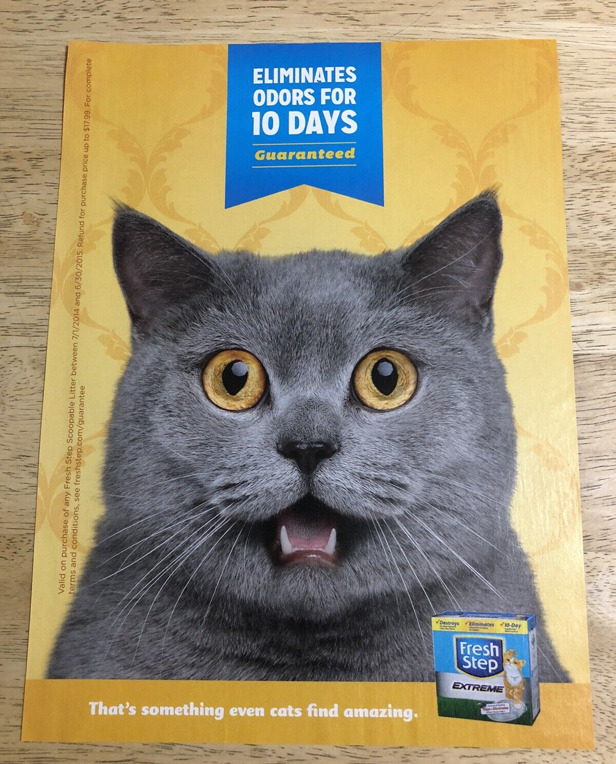 FRESH STEP - Funny Cat -  Magazine Full Page Print Ad Clipping