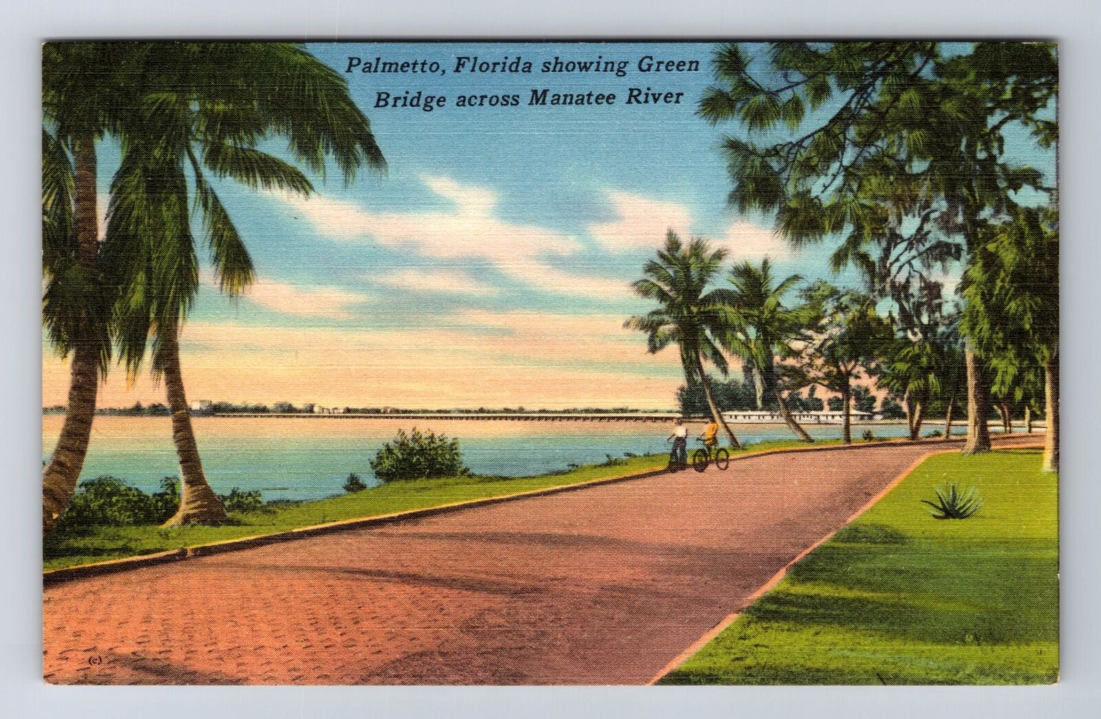 Palmetto FL-Florida, Green Bridge across Manatee River, Vintage Postcard