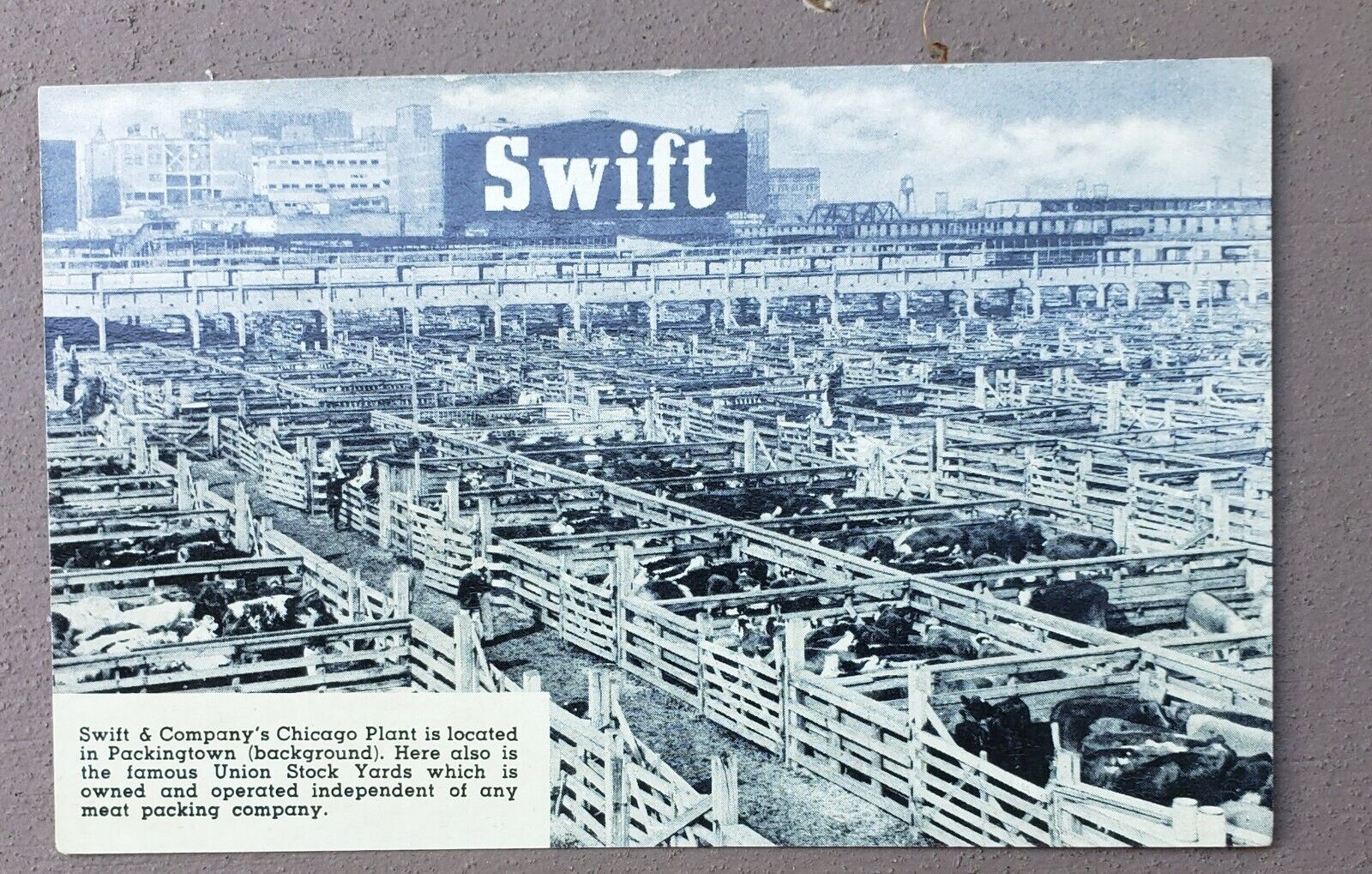 Swift & Co meat packing Plant Union Stockyards Chicago Illinois Postcard