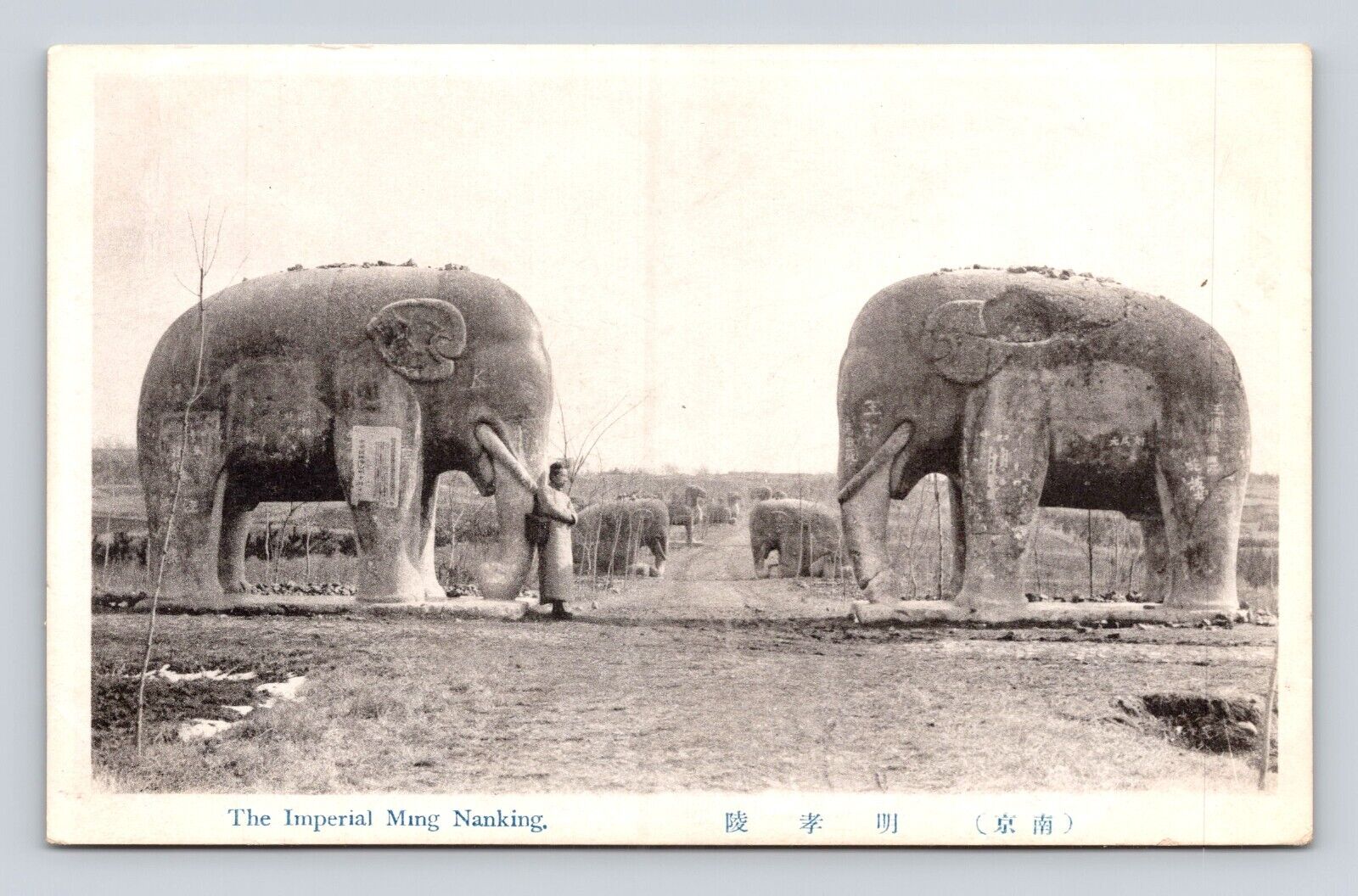 Antique Postcard RPPC Real Photo IMPERIAL MING NANKING ELEPHANT STATUES 1910