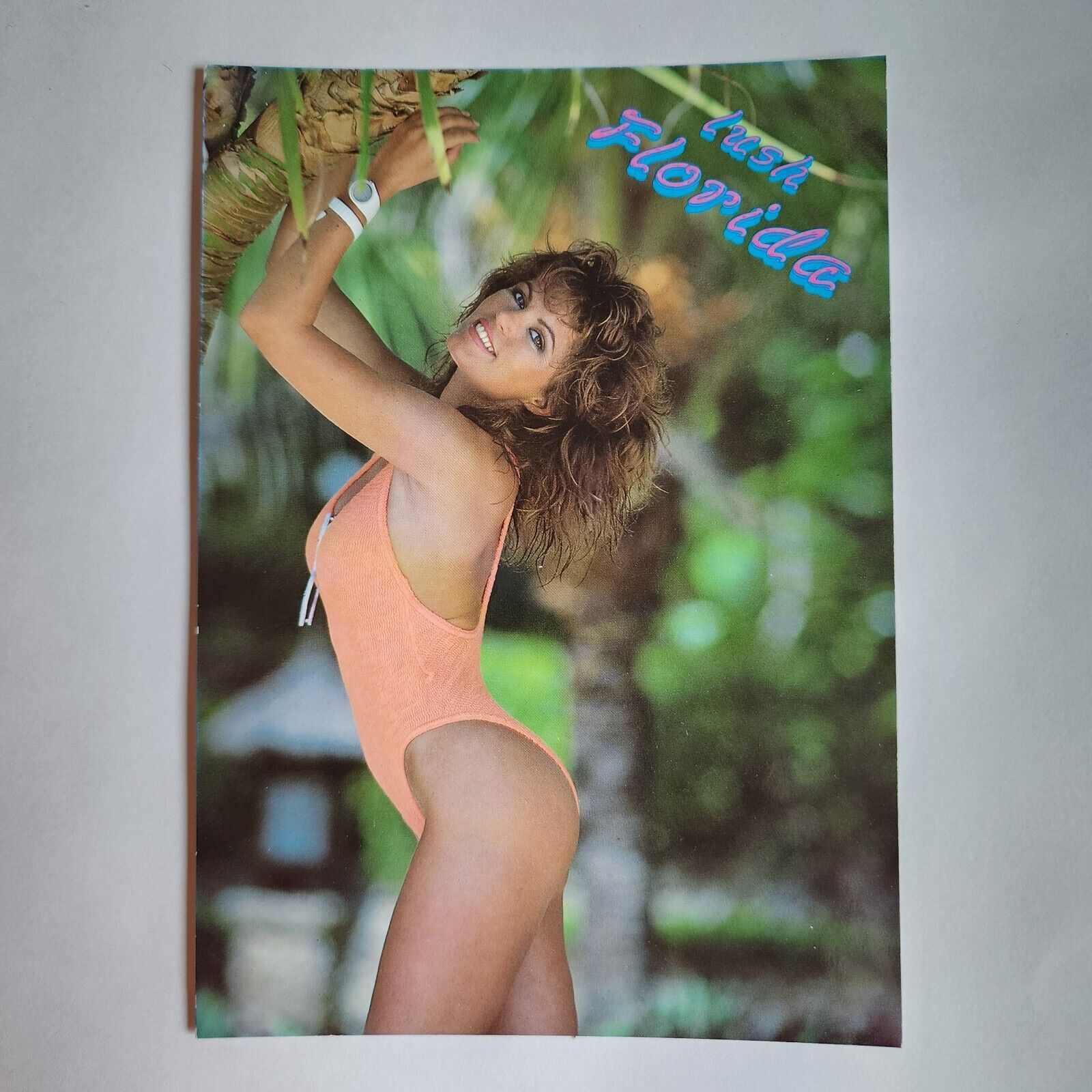 Vintage Florida Girl Postcard Risque Female Swimsuit Model Pin Up 1980s Lush FL