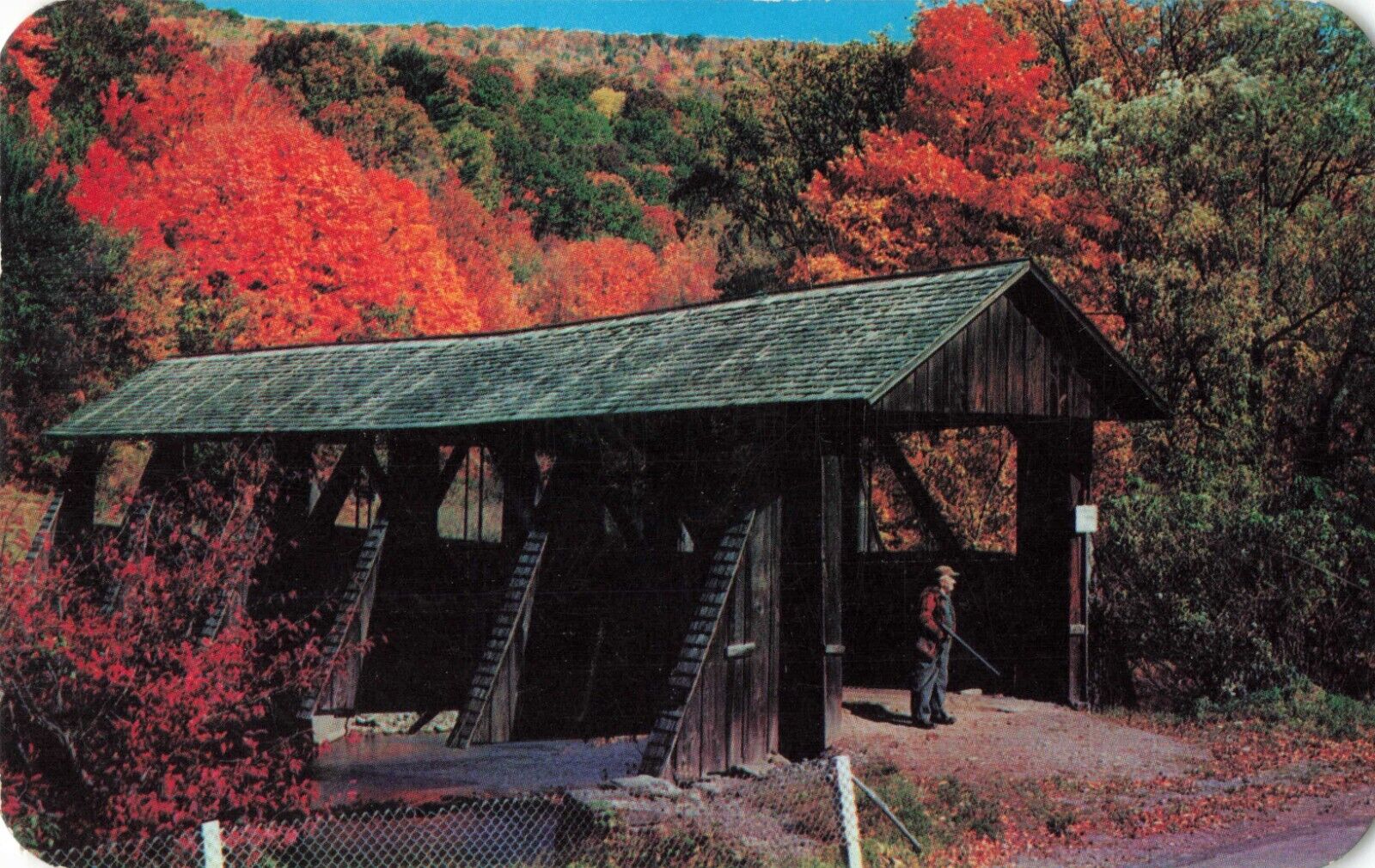 Walton NY New York, Catskill Mountain, Dry Brook Covered Bridge Vintage Postcard