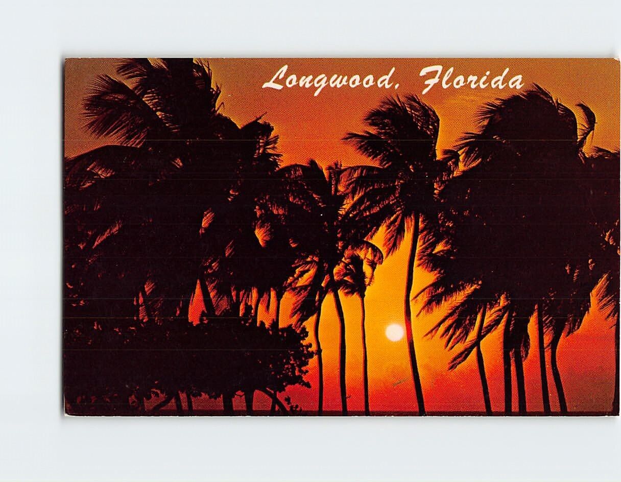Postcard A Magnificent Florida Sunrise USA