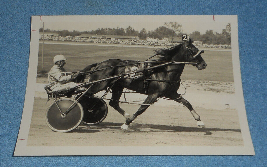1974 Harness Racing Press Photo Horse \