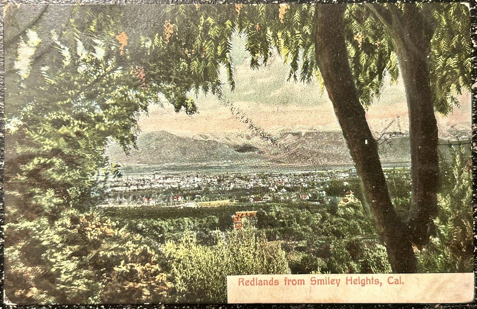 Redlands from Smiley Heights California. Vintage Postcard 1907