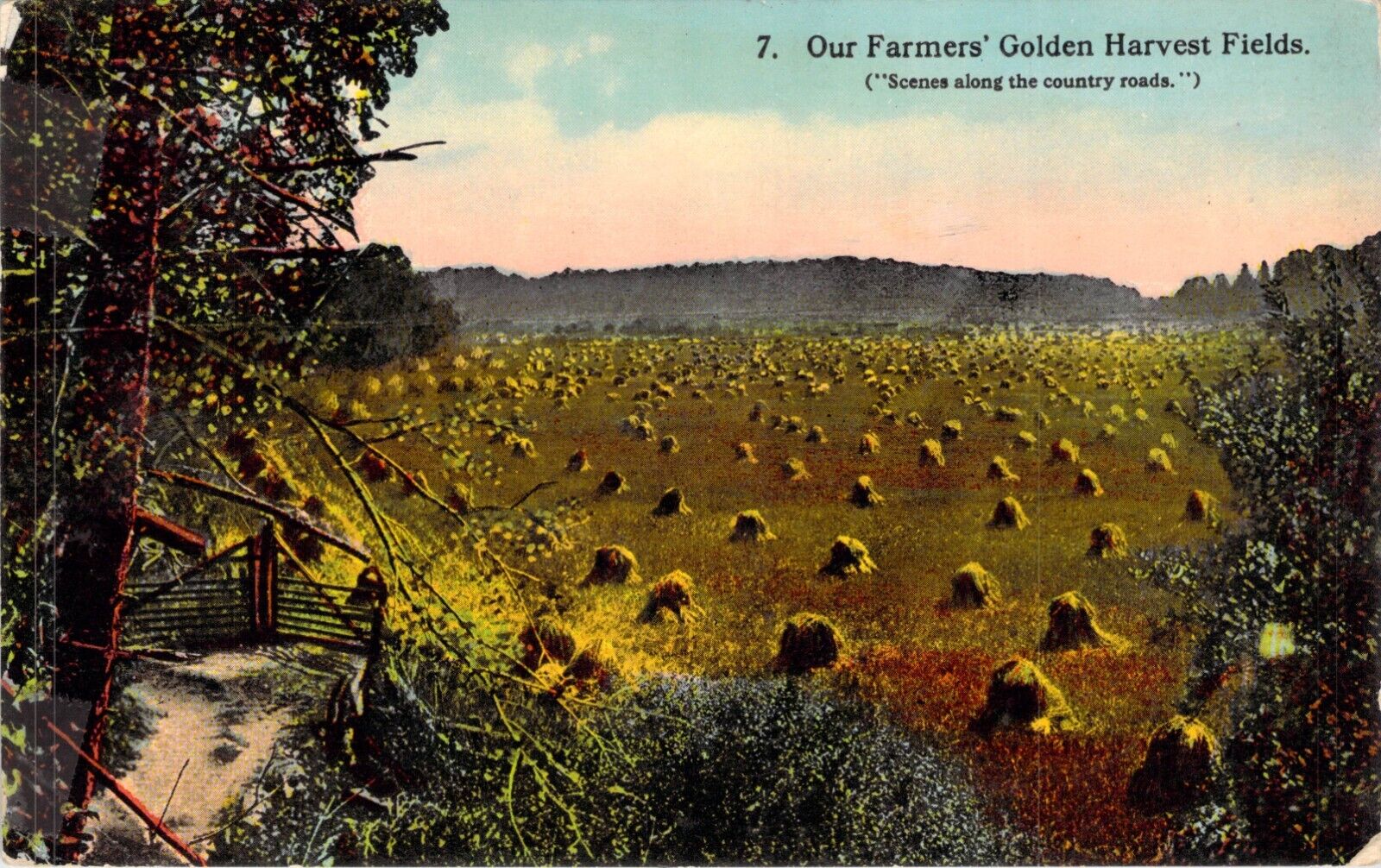 Vintage Postcard \'Our Farmers\' Golden Harvest Fields\' Hay Piles Iowa 1910s