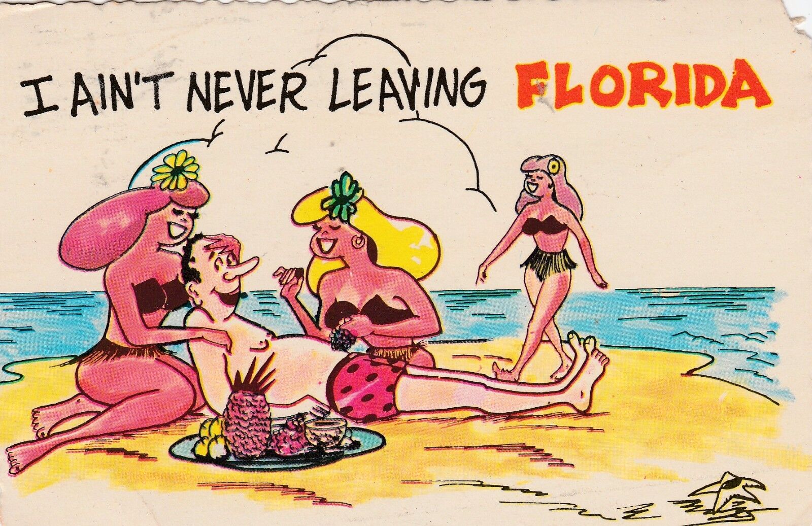 *Florida Postcard-\