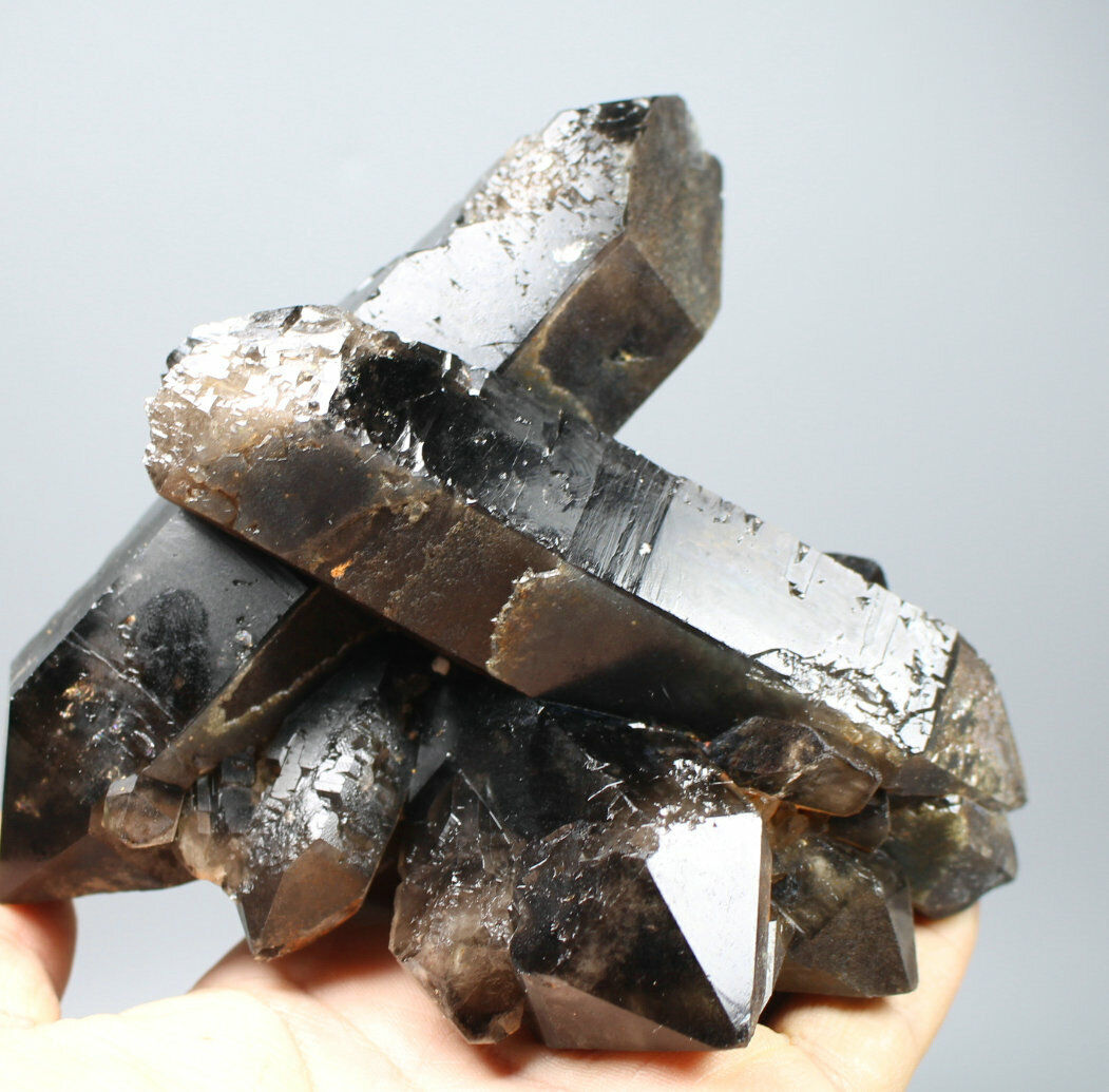 1.64lb Natural Rare Beautiful Black QUARTZ Crystal Cluster Mineral Specimen