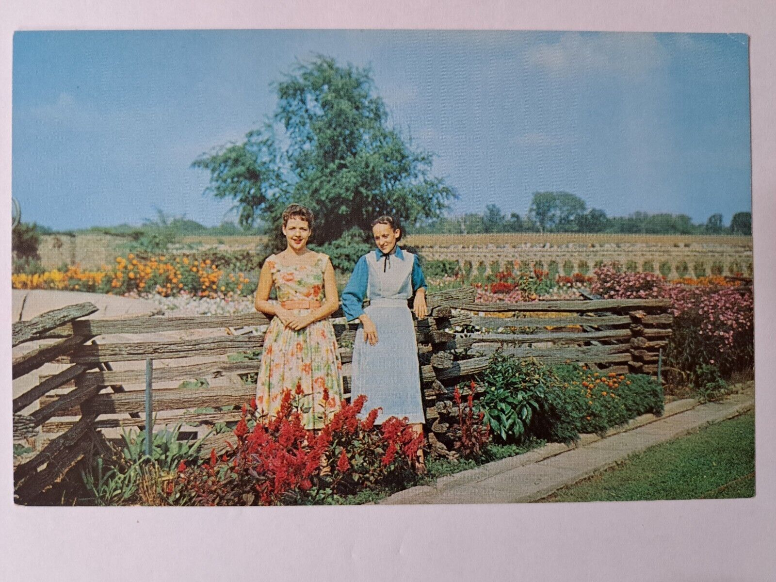 Postcard Rockome Gardens Arcola Illinois