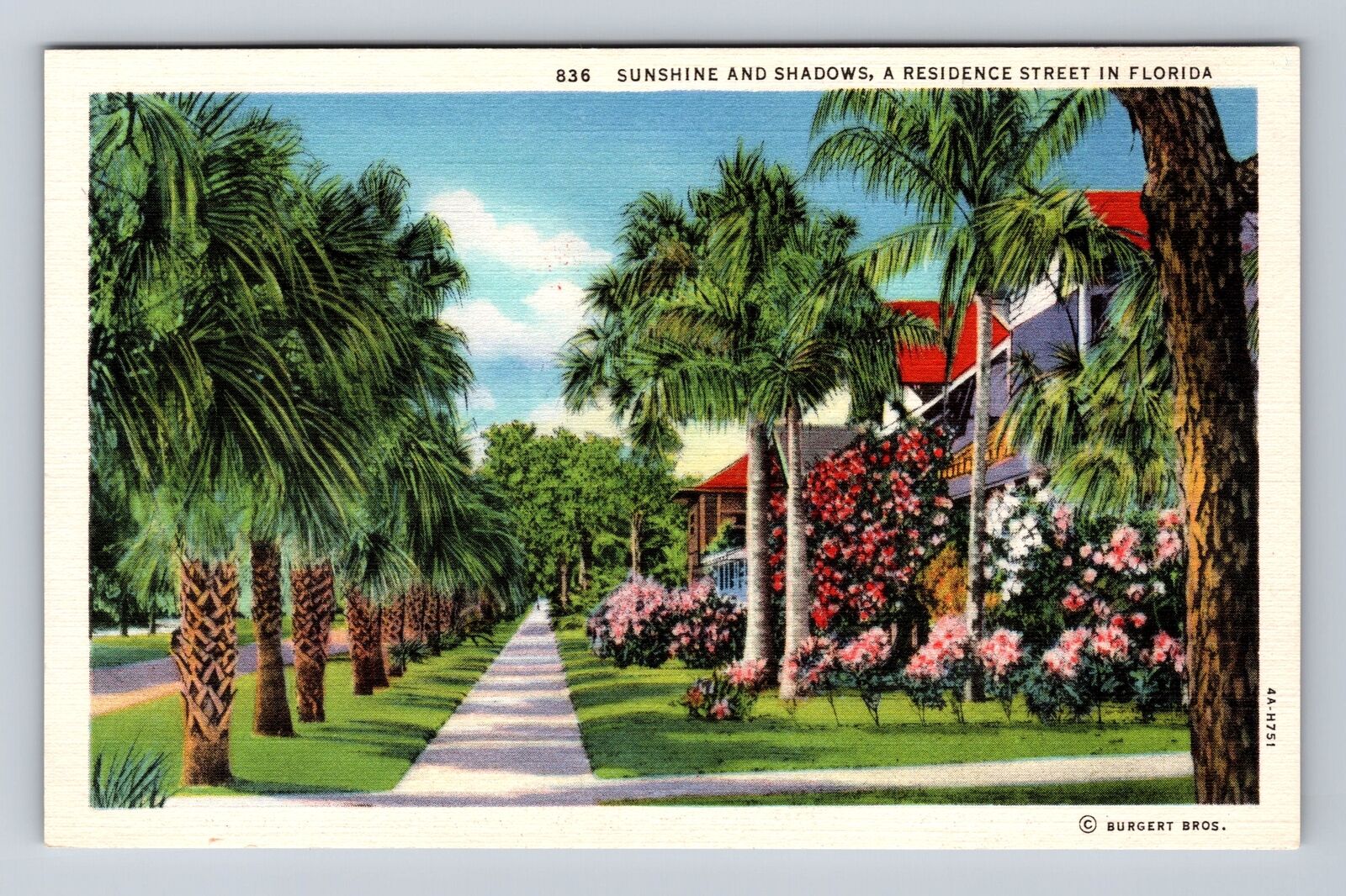 FL-Florida, Sunshine And Shadows, Residence Street, Antique, Vintage Postcard
