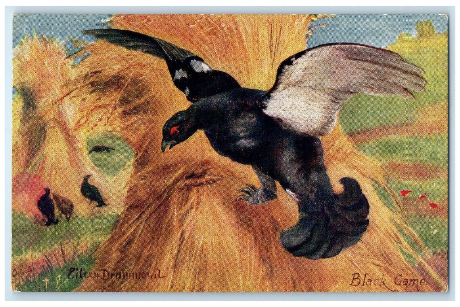 c1910\'s Black Game Scene Field Oilette Tuck\'s Unposted Antique Postcard