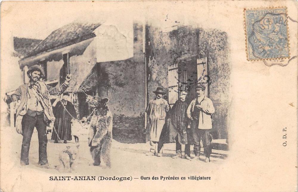 CPA 24 SAINT ANIAN DORDOGNE THE BEAR WATCHMAN OF THE PYRENEES IN VILLEGIATURE (CPA