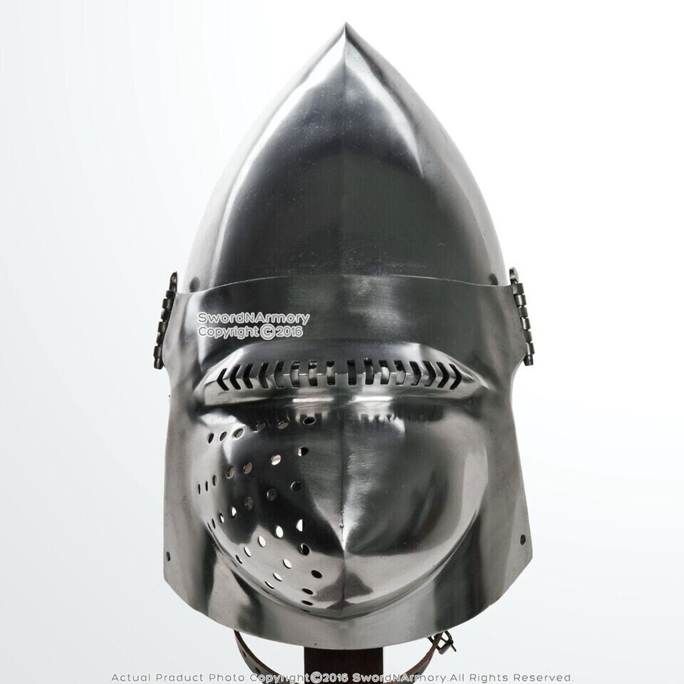 Hound Skull Pig Face Bascinet Jousting Medieval Helmet WMA Armor Functional 18G