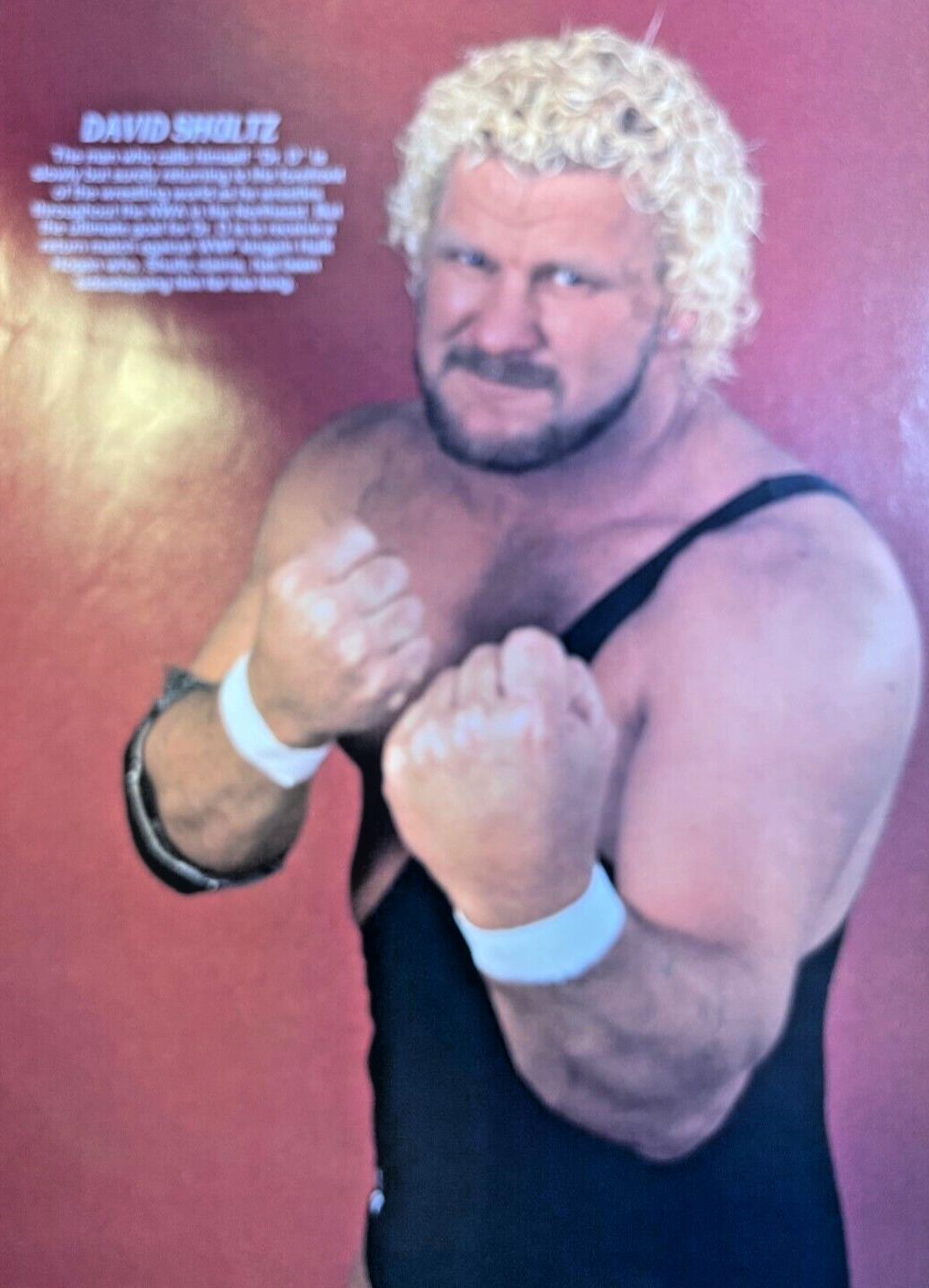 1985 Magazine Print Pro Wrestler David Schultz Dr. D