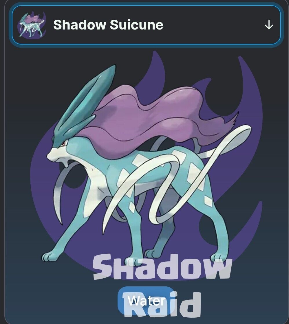 Pokemon Go - Shadow Suicune Raid Service Introductory offer