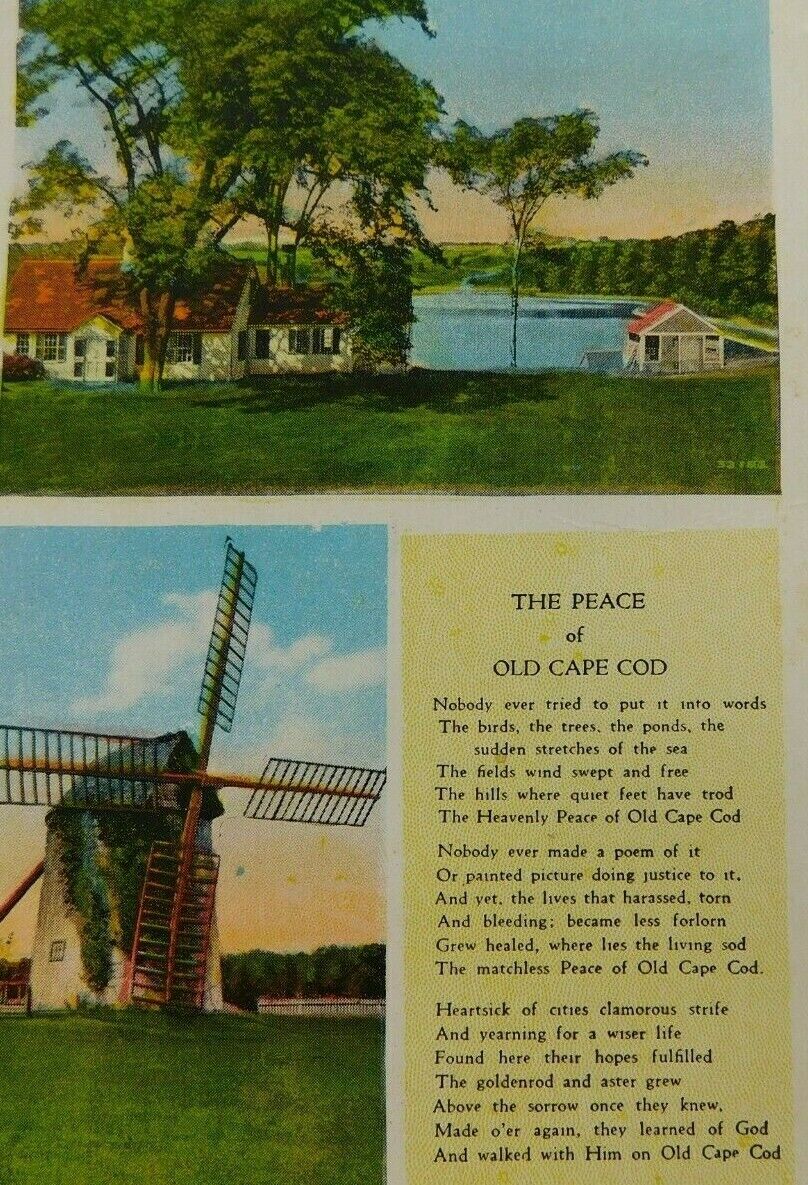 Old Homestead Cape Cod Massachusetts The Peace Divided Back Vintage Postcard
