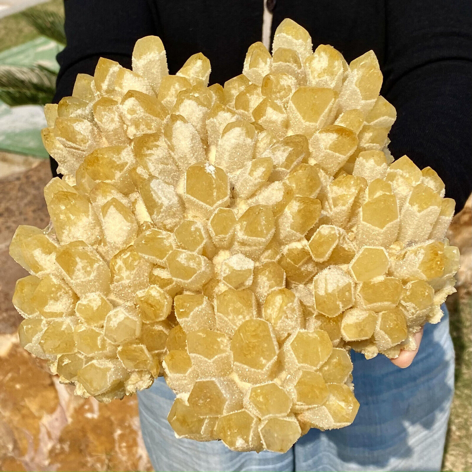 6.94LB Natural best yellow crystal ore cluster flower healing specimen