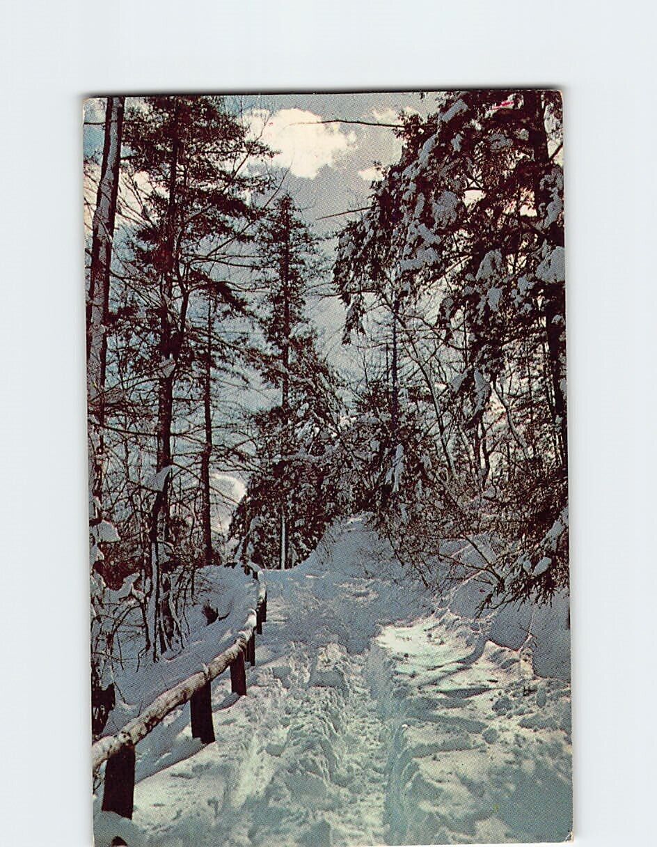 Postcard Winter Scene Greetings from Walton New York USA