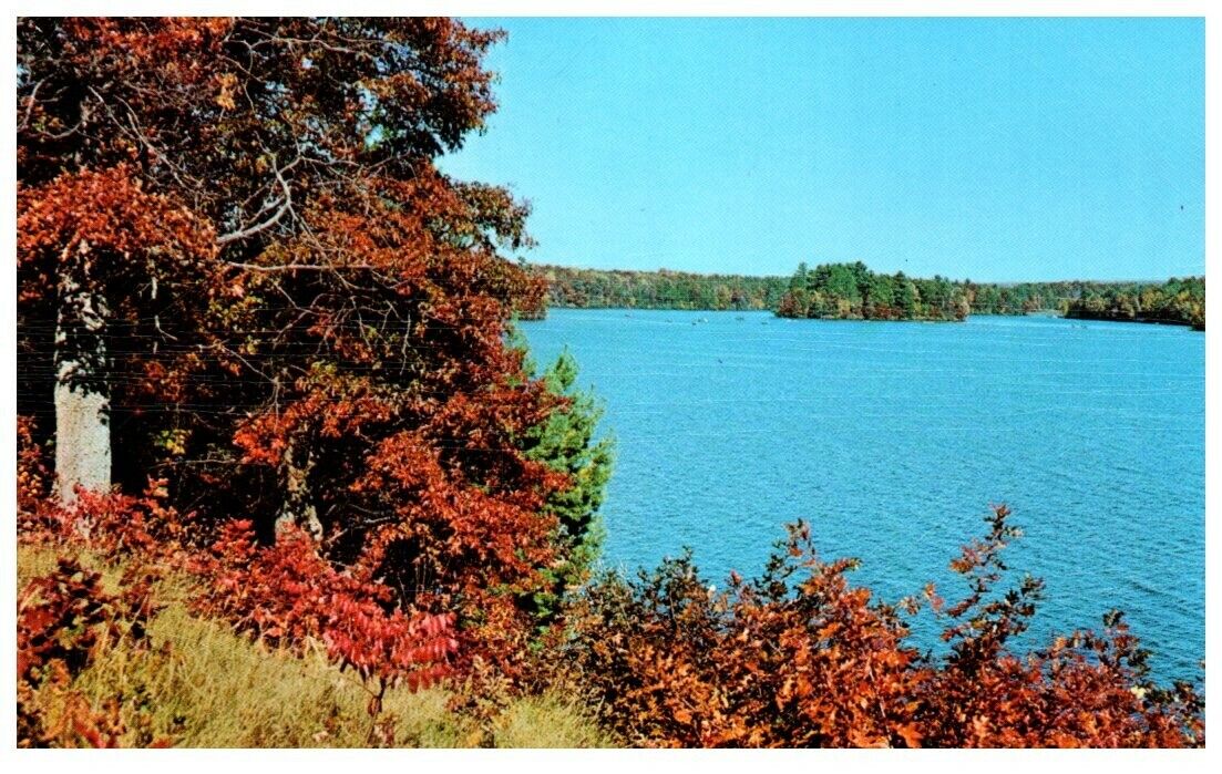 PICTURESQUE LAKE VIEW.VTG UNUSED POSTCARD*A3