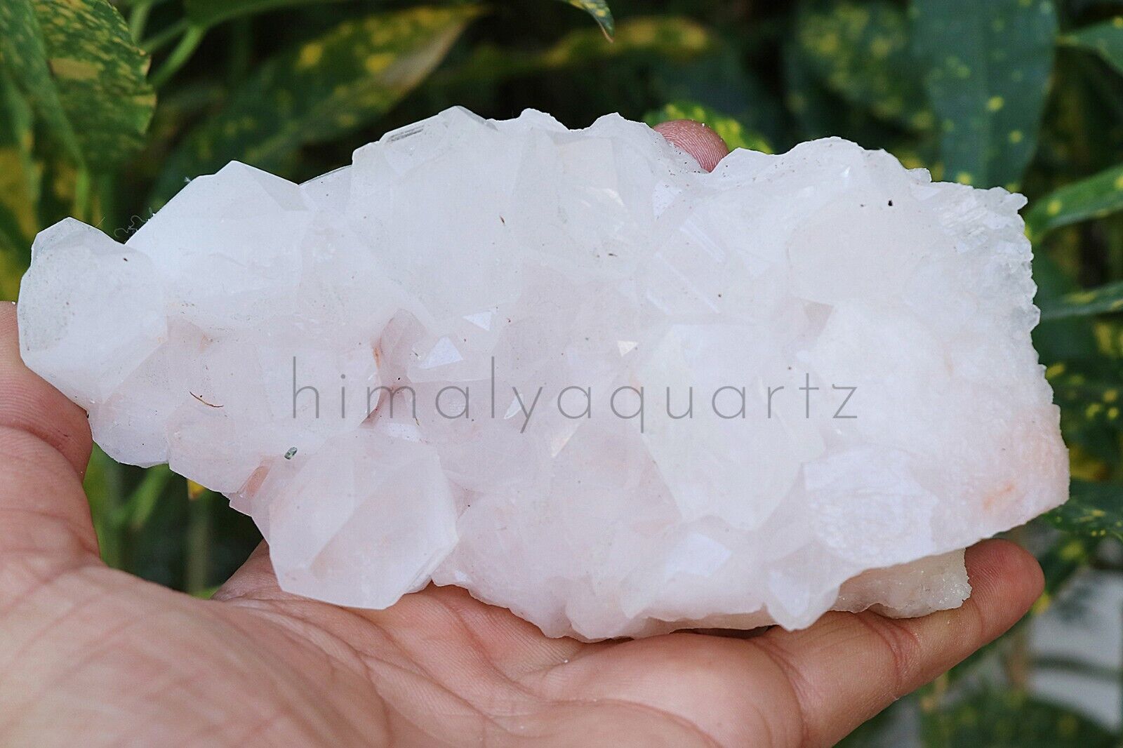 500gm Natural Rare Beautiful White QUARTZ Crystal Cluster Mineral Specimen