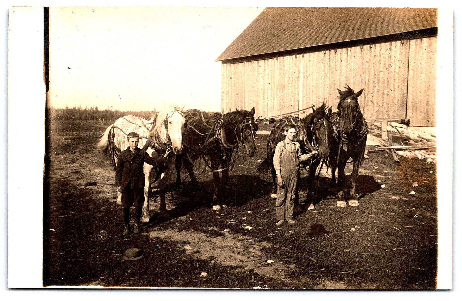 Postcard RPPC Farm Boys Posing with 4 Draft Work Horses Wearing Tack c1910 A11